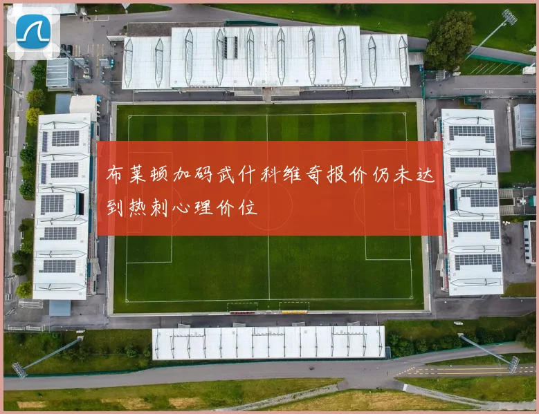 布莱顿加码武什科维奇报价仍未达到热刺心理价位